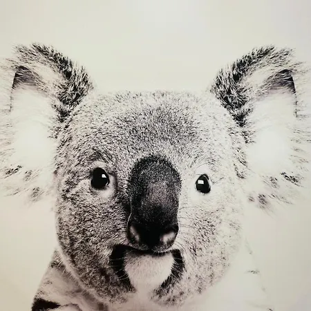 Le 52 - Hyper Centre - Parking Lägenhet *